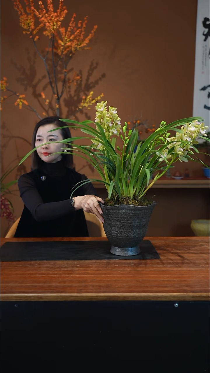 全部花朵香兰盆景盆景盆景