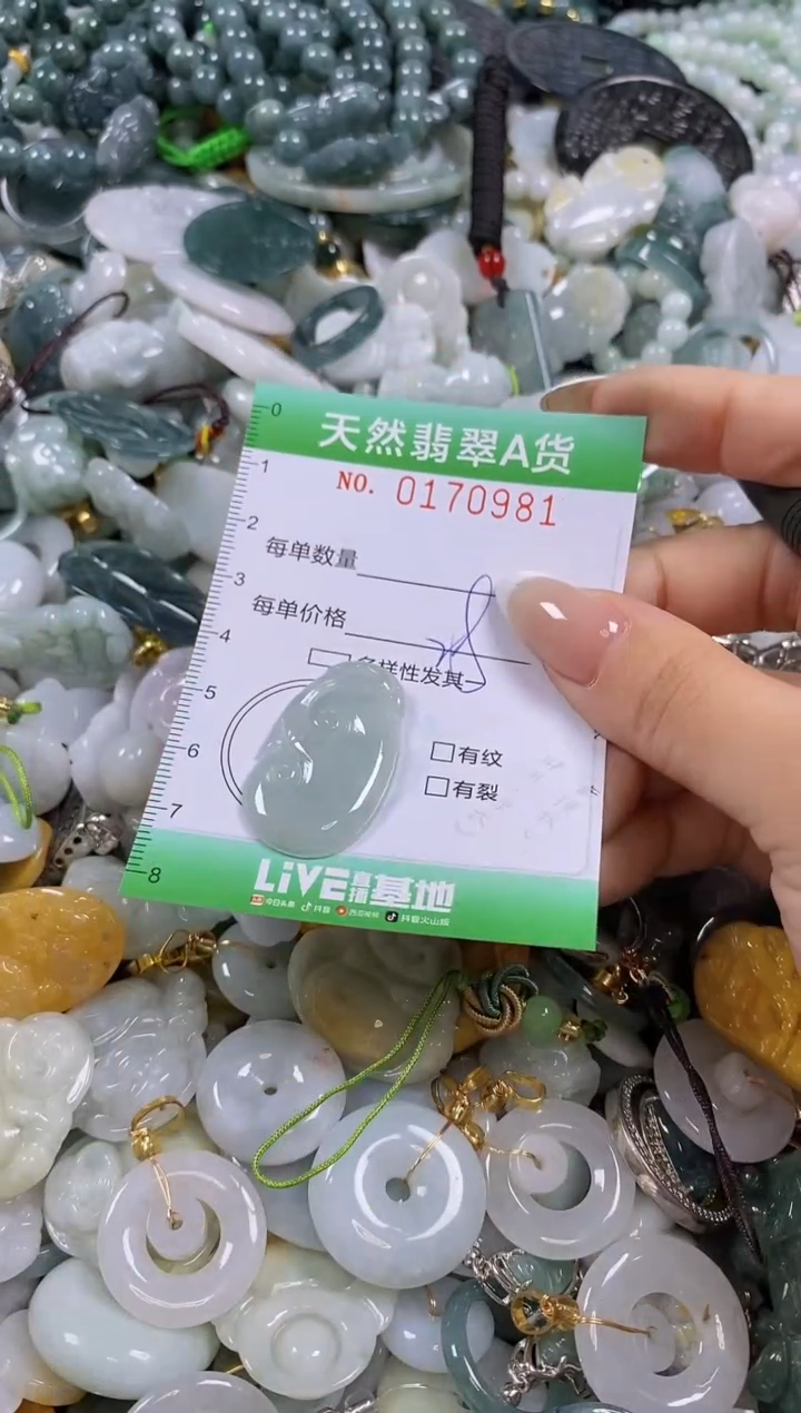 翡翠未镶嵌颈饰闪购0170981