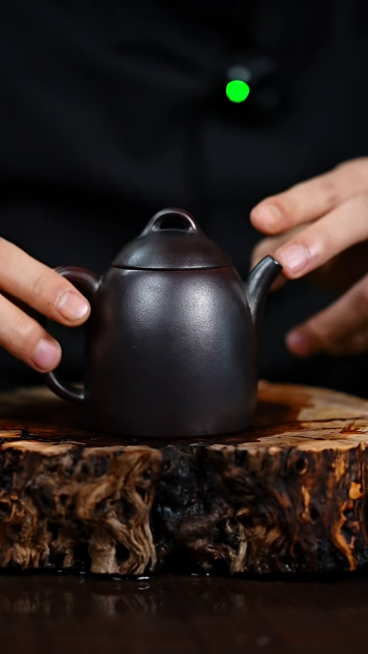 宜兴知衍传器原矿全手19