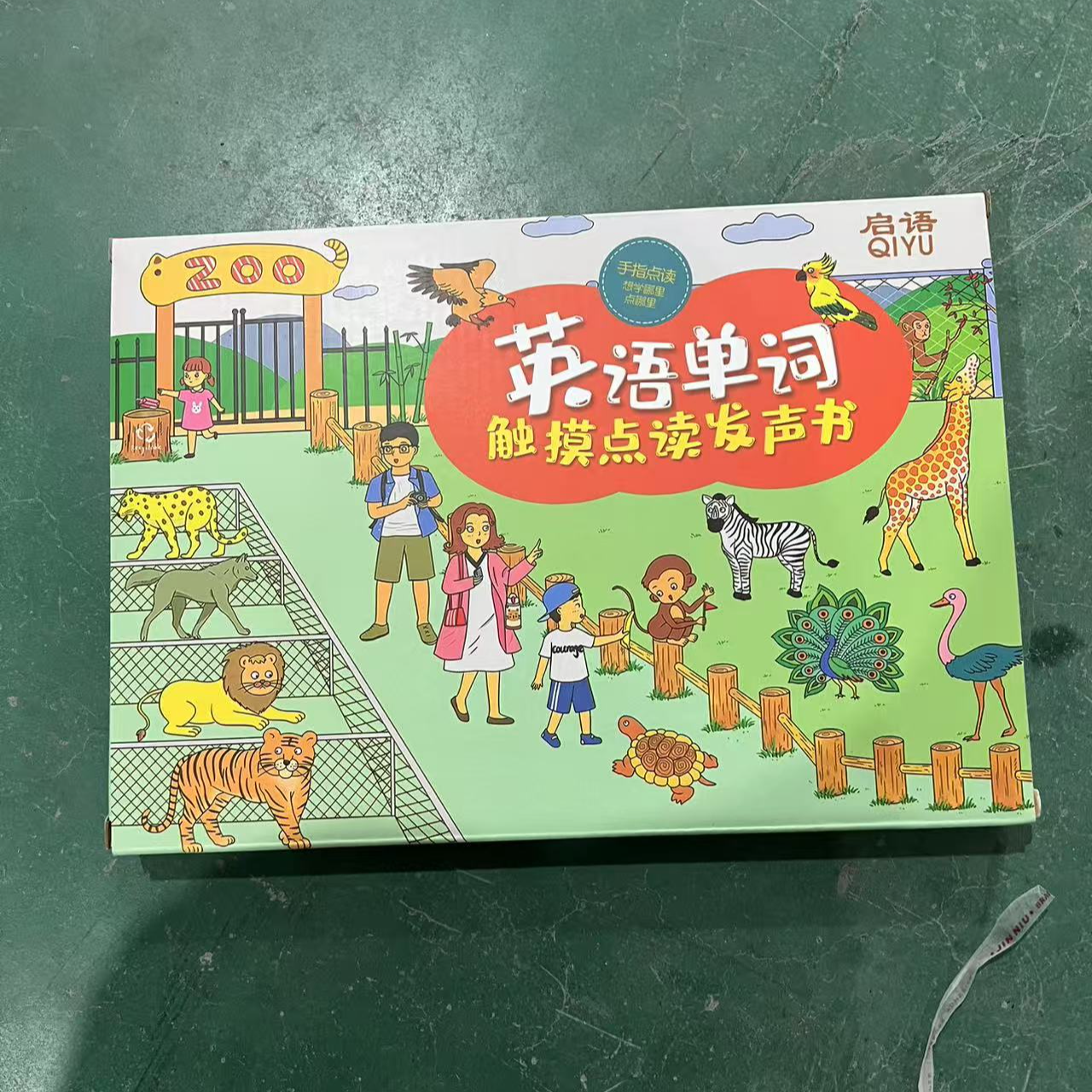 英语单词触摸点读发声-（直播专用）