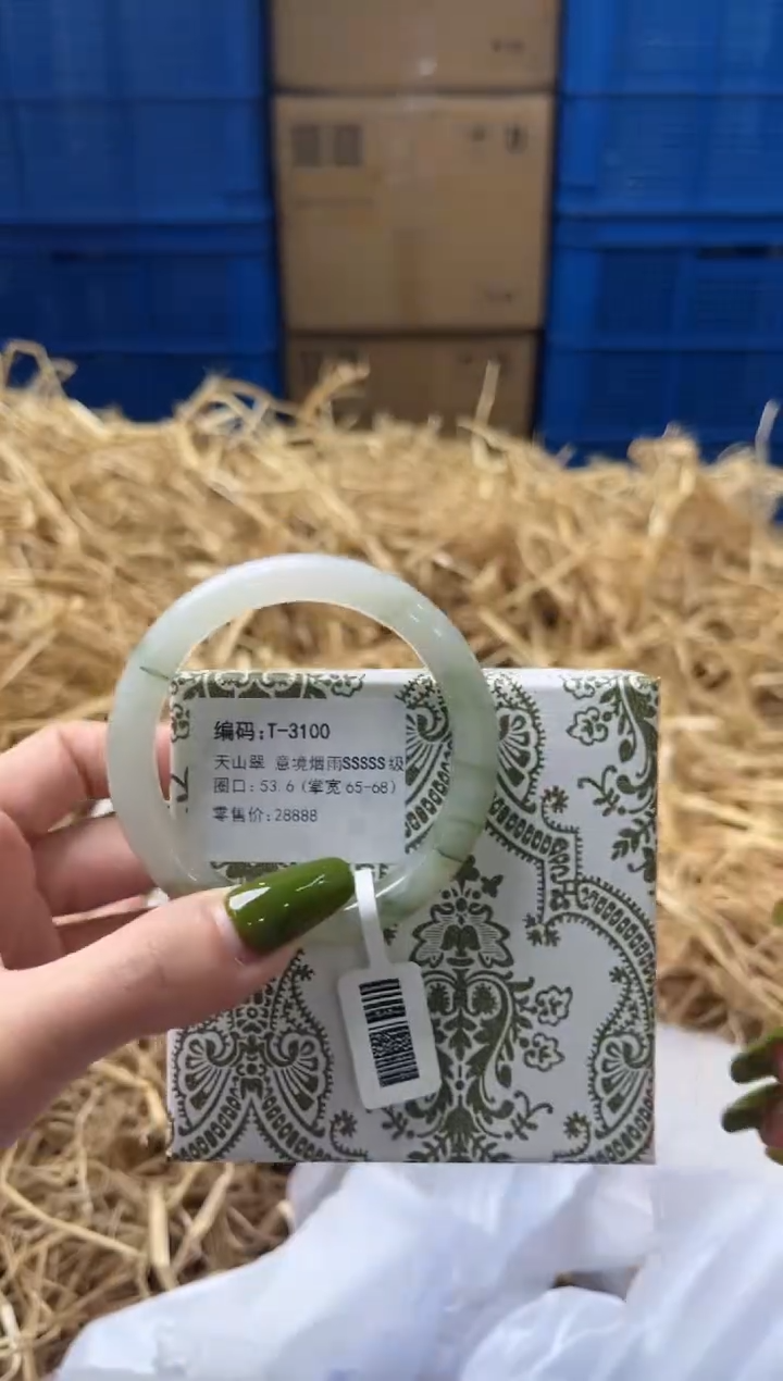 未镶嵌手镯石英质玉T3100
