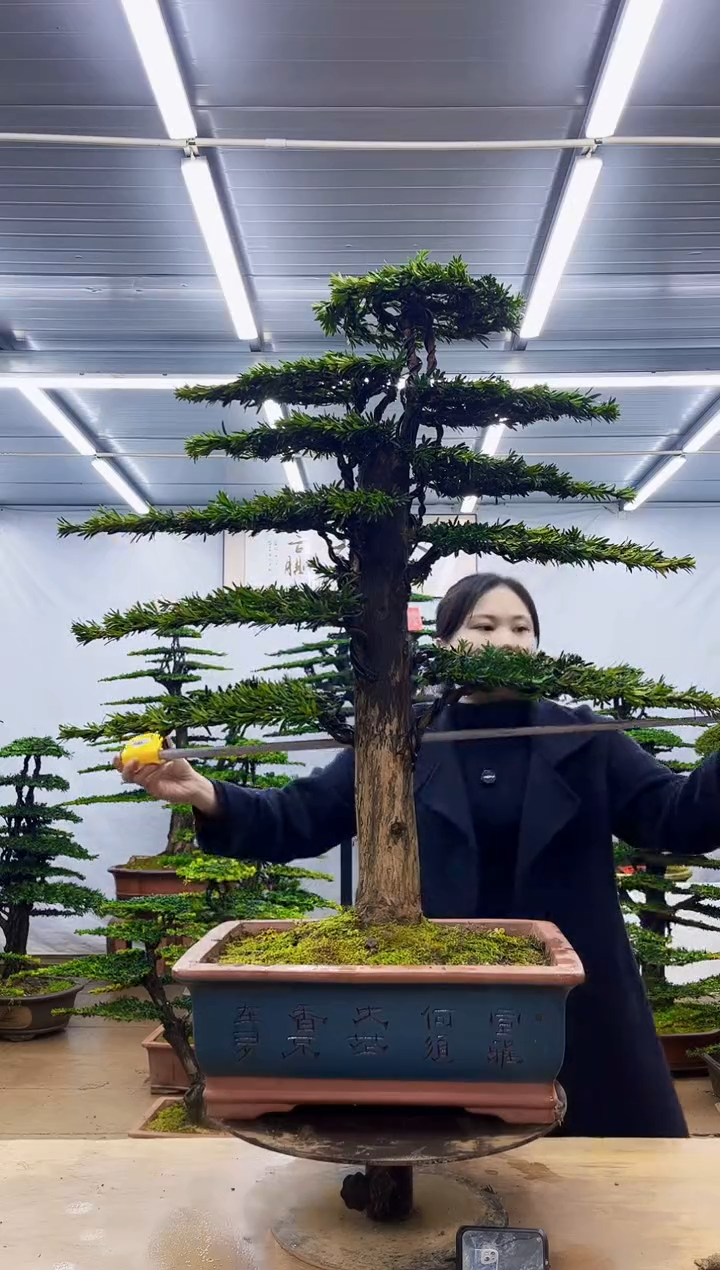 无花朵一物一拍，所见即所得