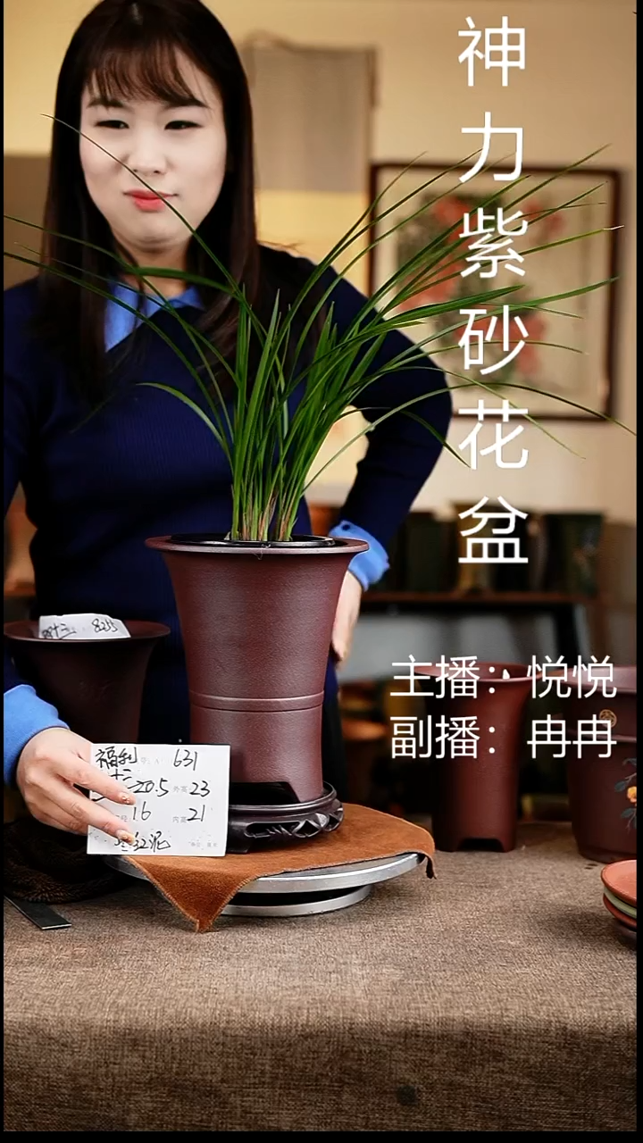 紫砂花盆花卉工艺631+s