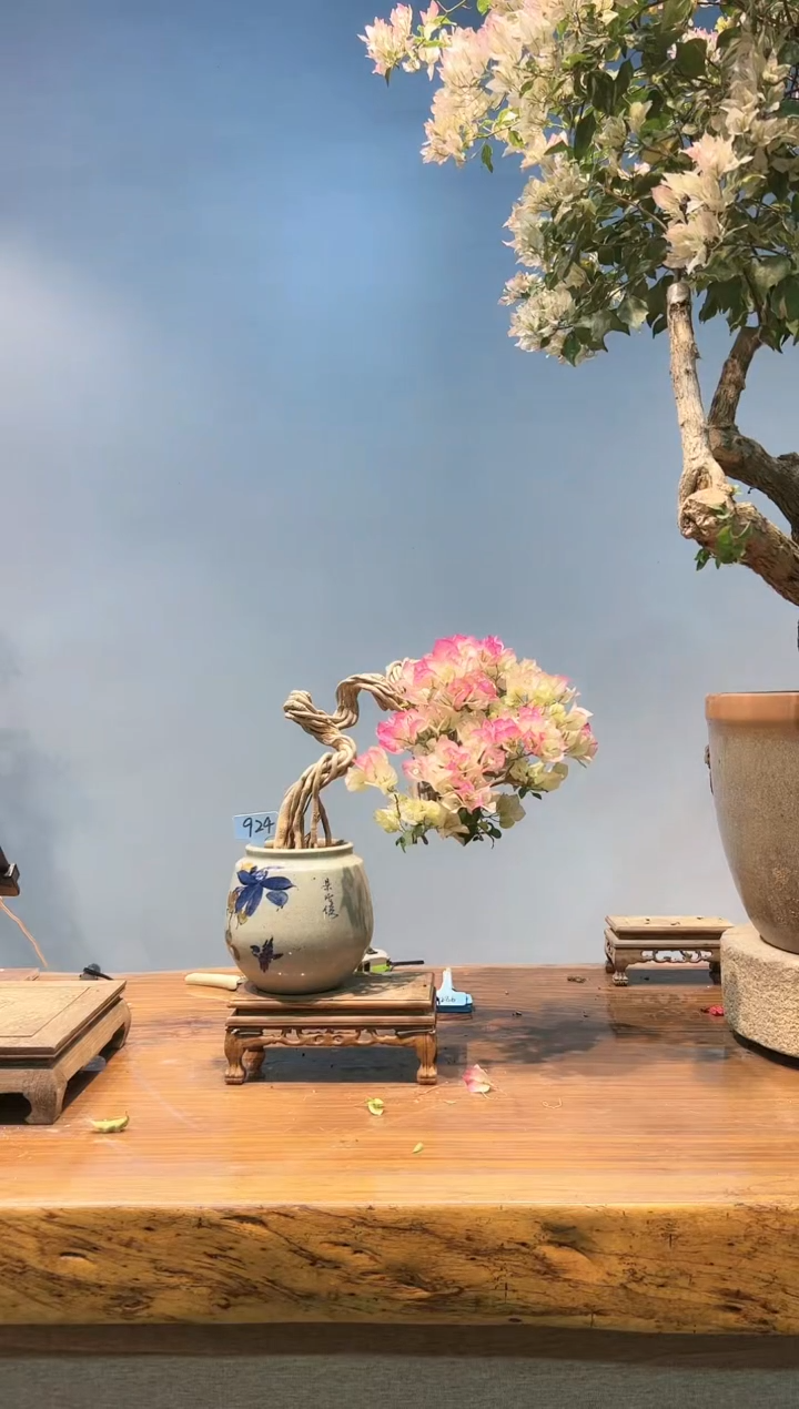 【闪购商品】AA924