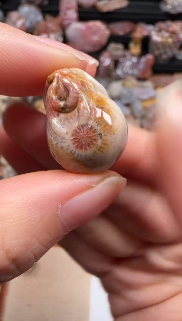 【闪购商品】硅化珊瑚（珊瑚玉）颈饰未镶嵌613