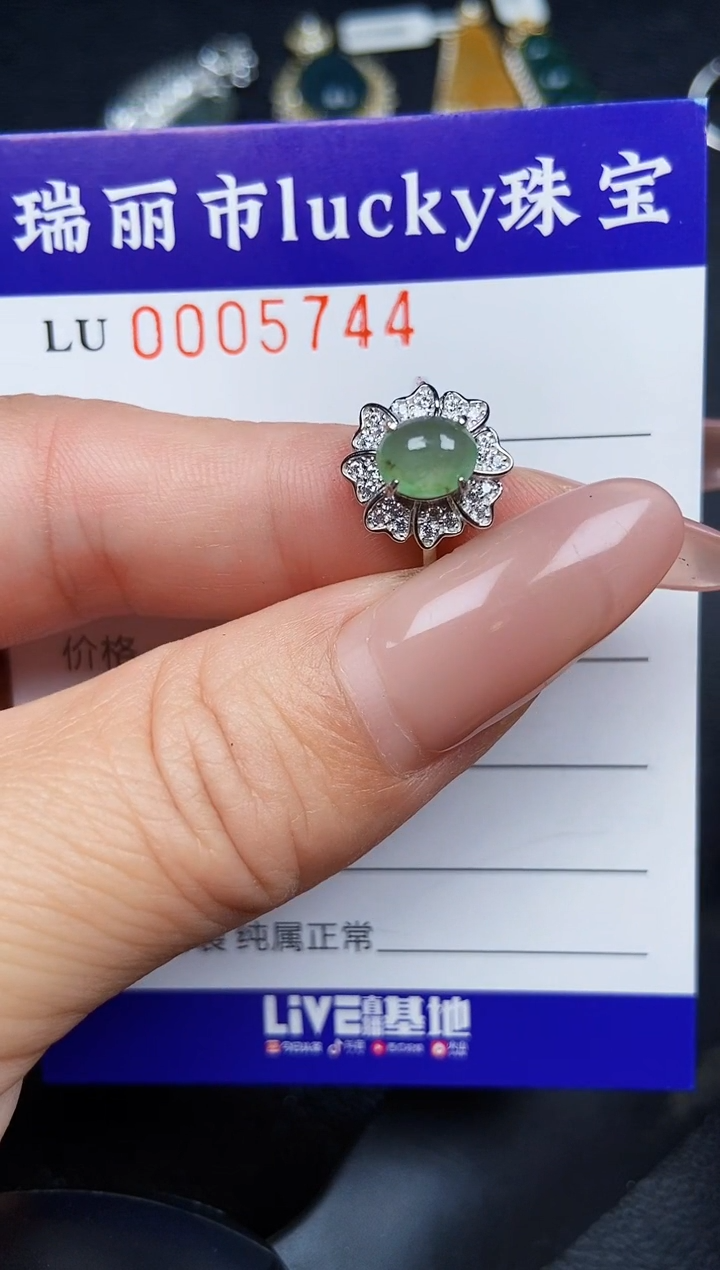 翡翠银S925镶嵌颈饰5744