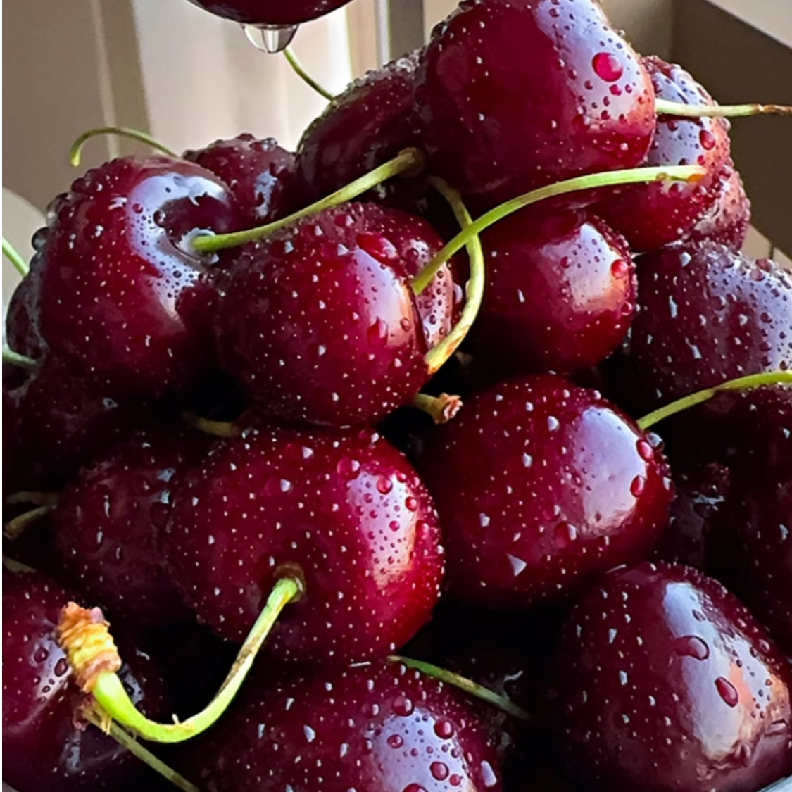  海运车厘子桑提娜JDD 散装1斤桑提娜智利