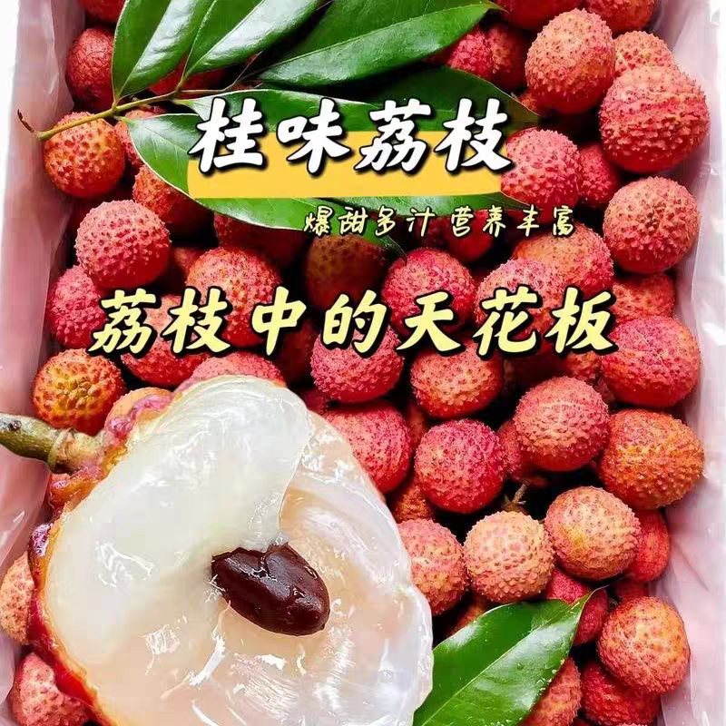 【次日达】广东老树空运桂味荔枝2-4斤 京东包邮荔枝同城送新鲜