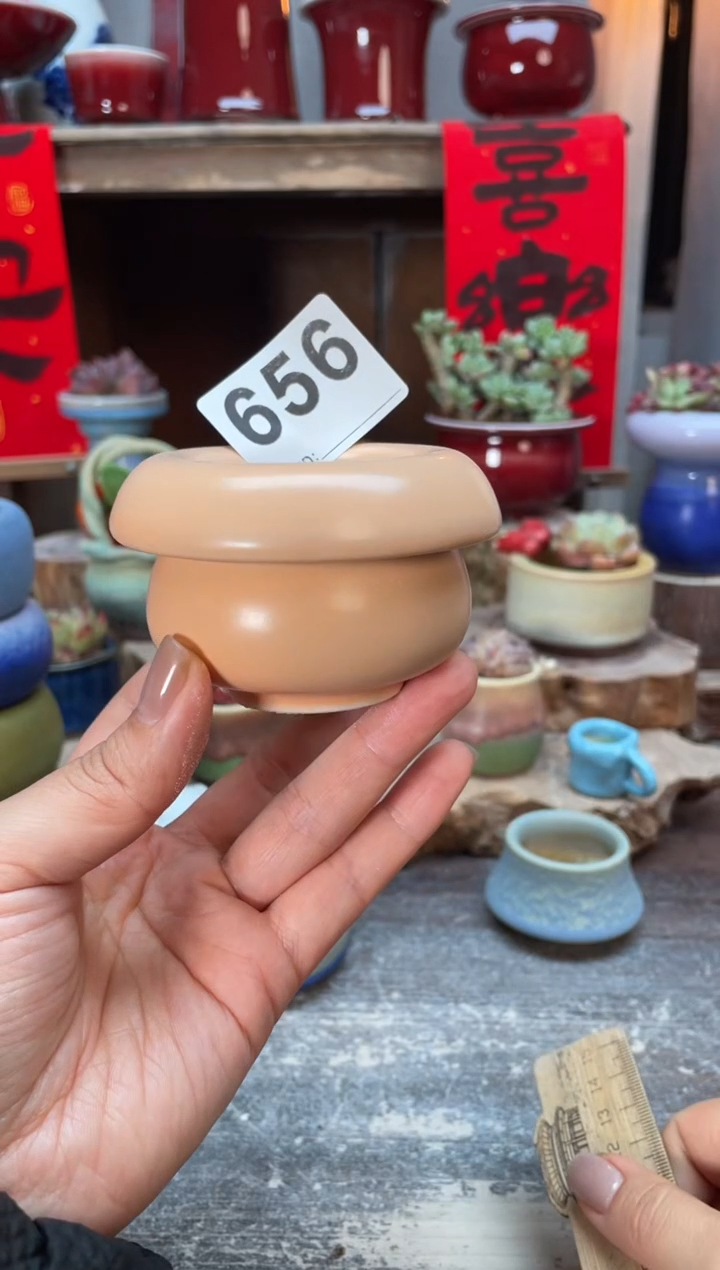 【闪购商品】摆件656知木小芳花盆