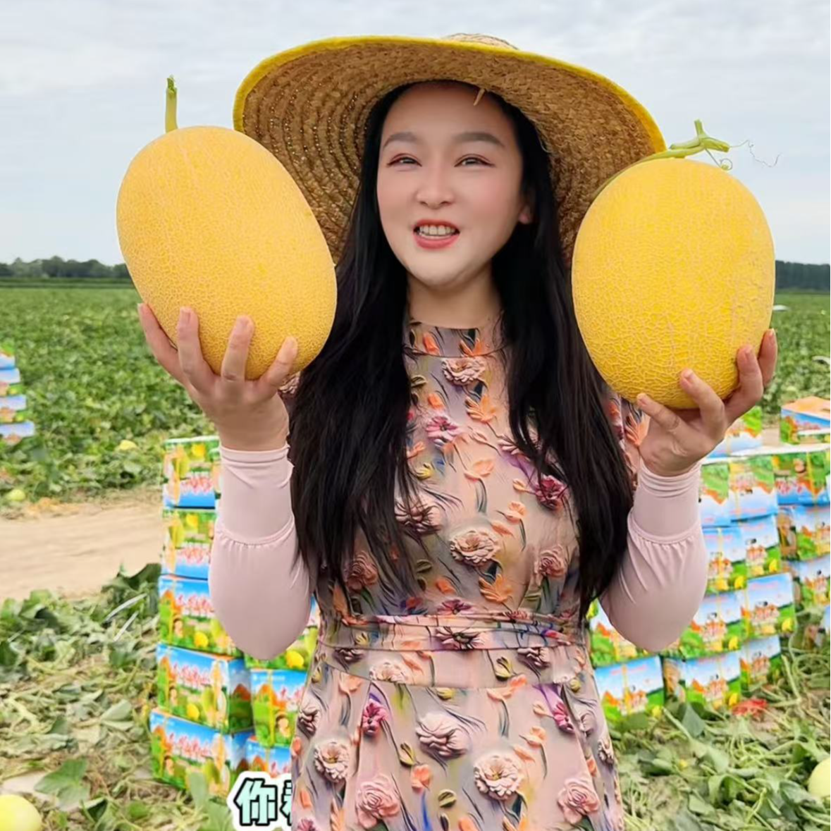 新疆直发金色年华黄金密瓜现摘现发应季新鲜脆甜水果商超果