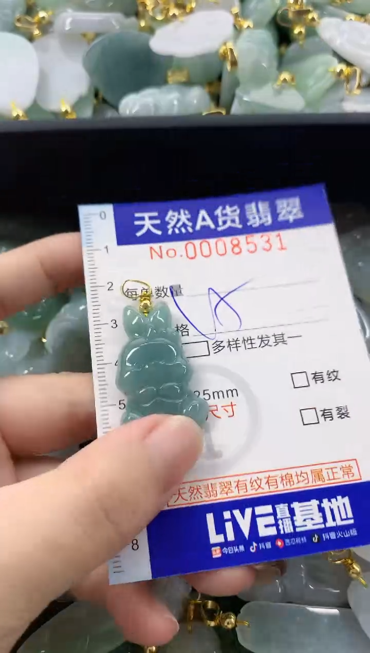 颈饰未镶嵌翡翠天然A货翡翠