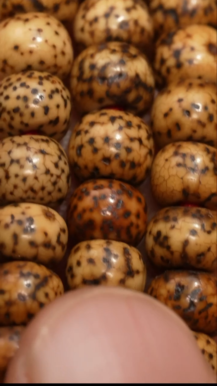 【闪购商品】冲赛康胡子哥，藏传念珠34