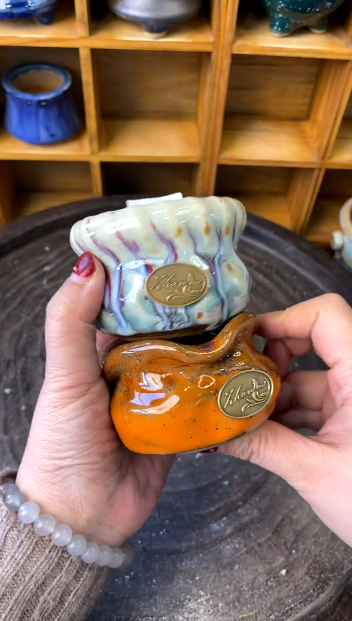 【闪购商品】陶735 内口6【情人节限时特】