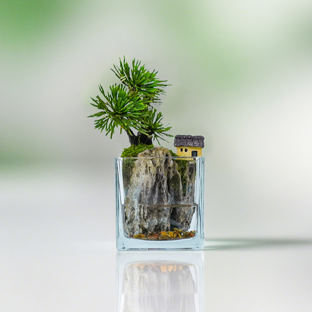 【雾影】隐居mini—卷柏桌面山水造景真植物【尺寸：8*8】