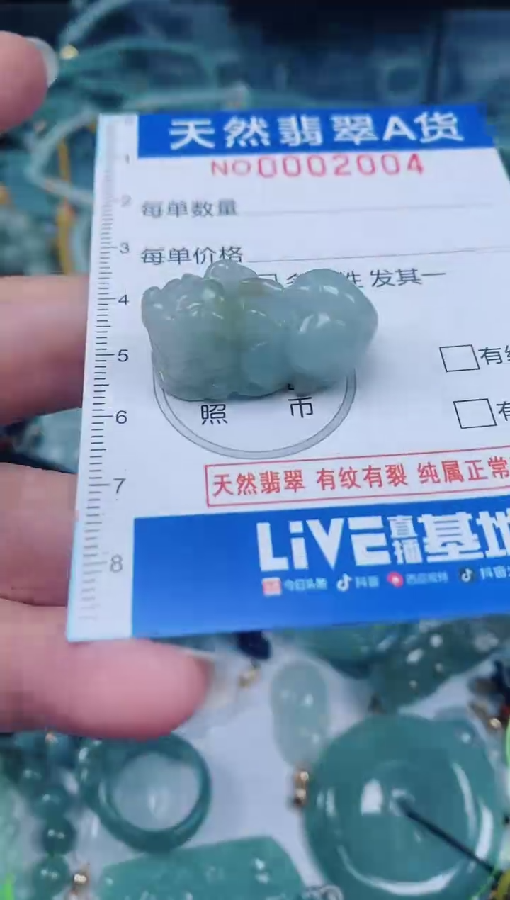 颈饰未镶嵌翡翠00002004