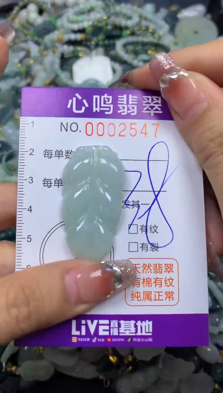 【闪购商品】翡翠颈饰未镶嵌闪购002547