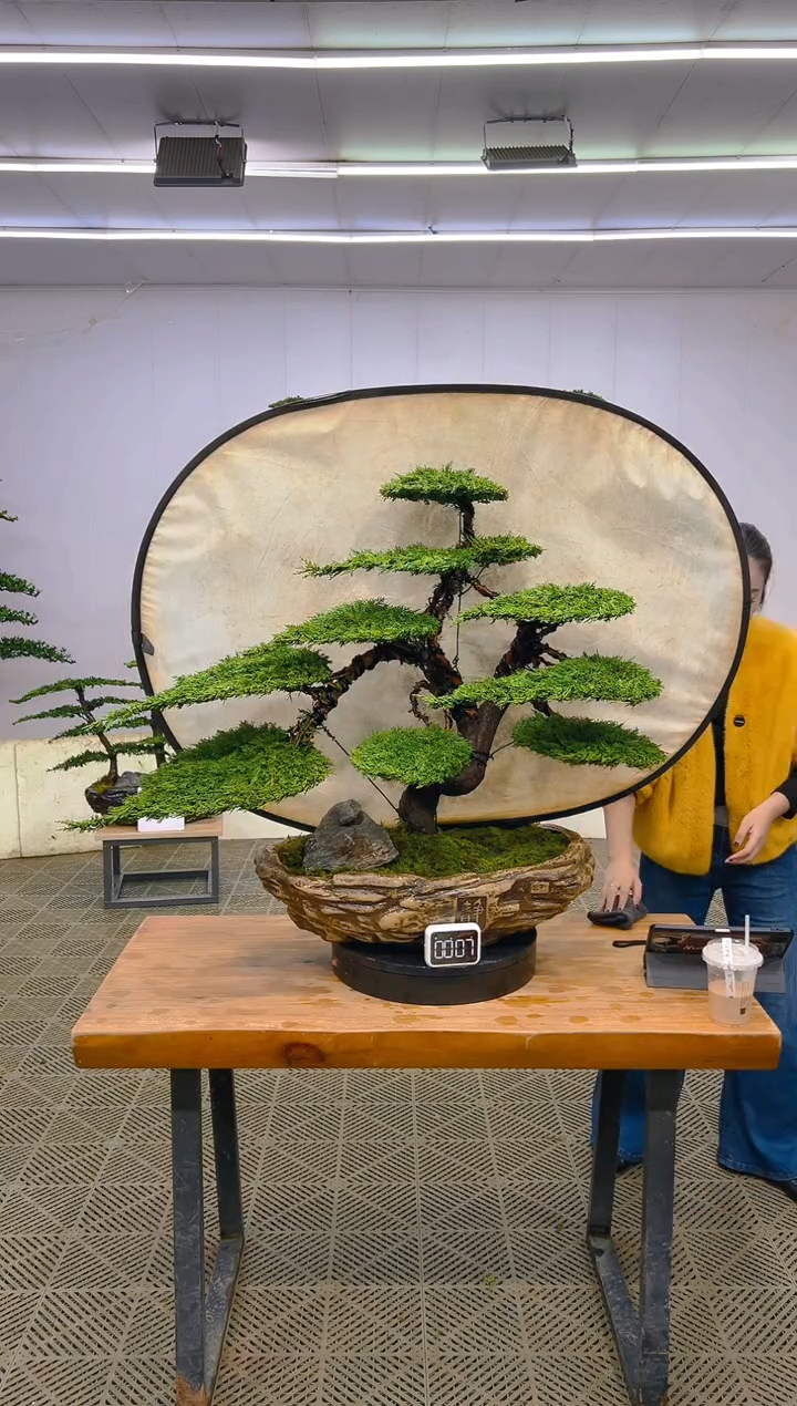 无花朵一物一拍一物一拍