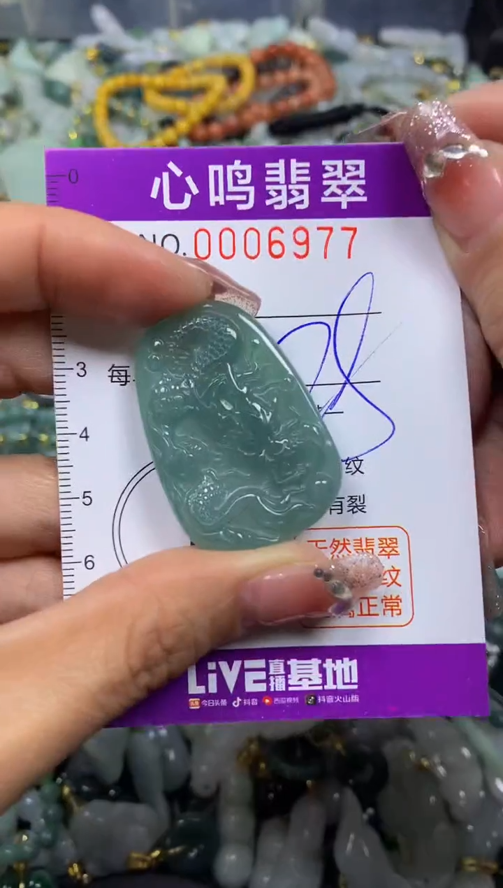 【闪购商品】翡翠颈饰未镶嵌闪购006977