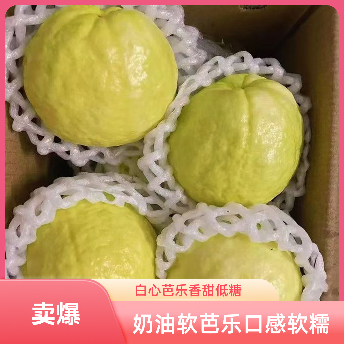 【白心芭乐】奶油软芭乐新鲜水果软糯香甜低糖高维C产地直发