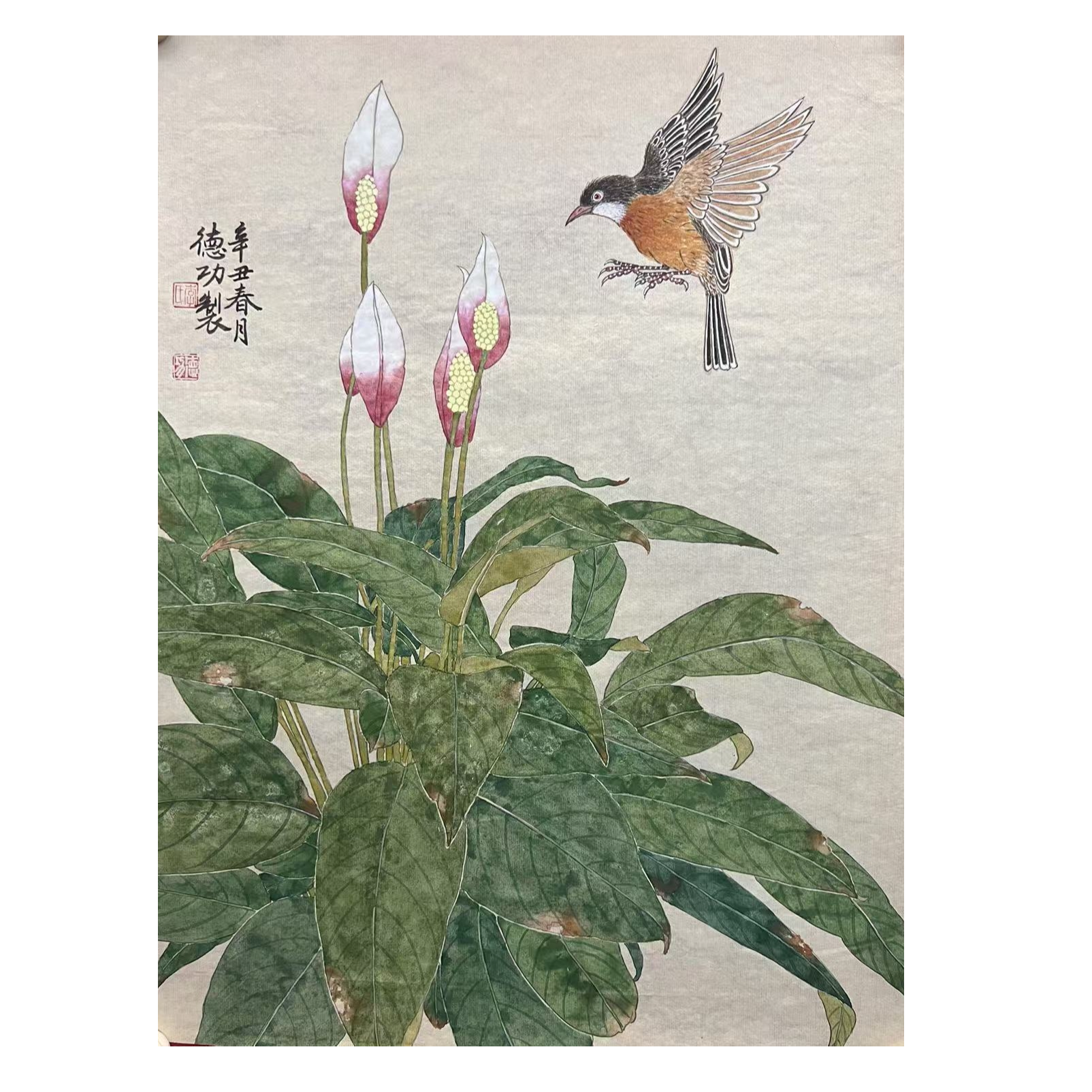 李老师花鸟画国画作品