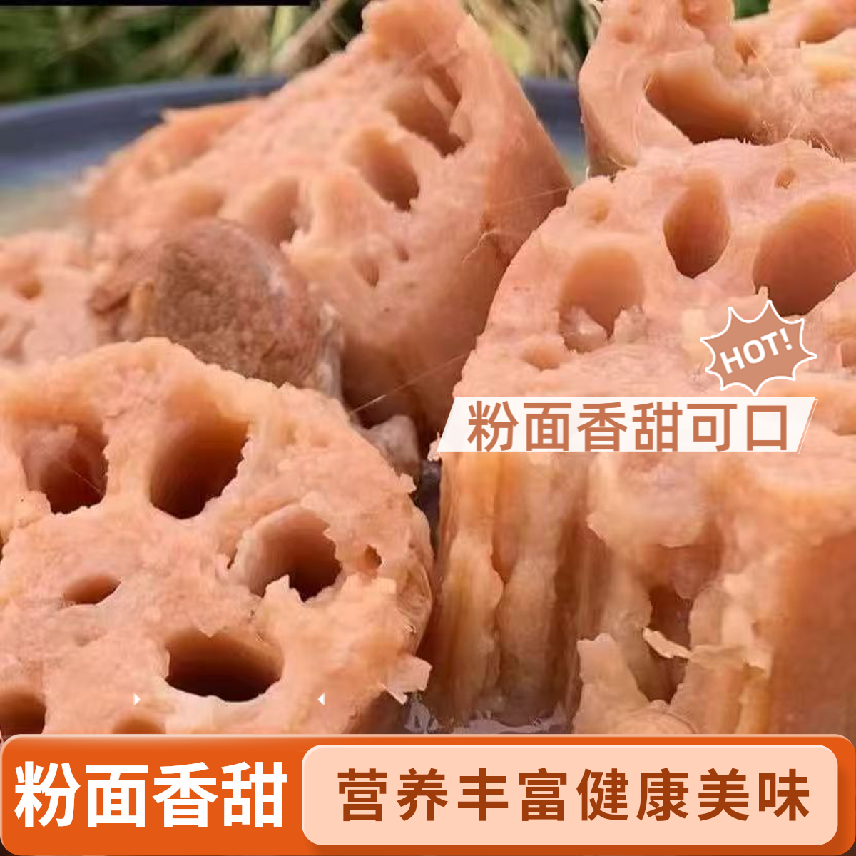 【新鲜现挖】正宗煲汤红花粉面藕重庆老品种新鲜现挖原生态3斤5斤包邮红花莲藕