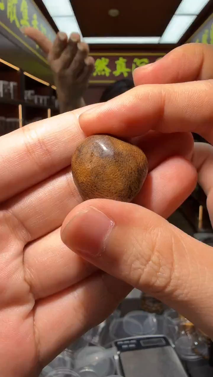 沉香吊坠183号芽庄多样性发一