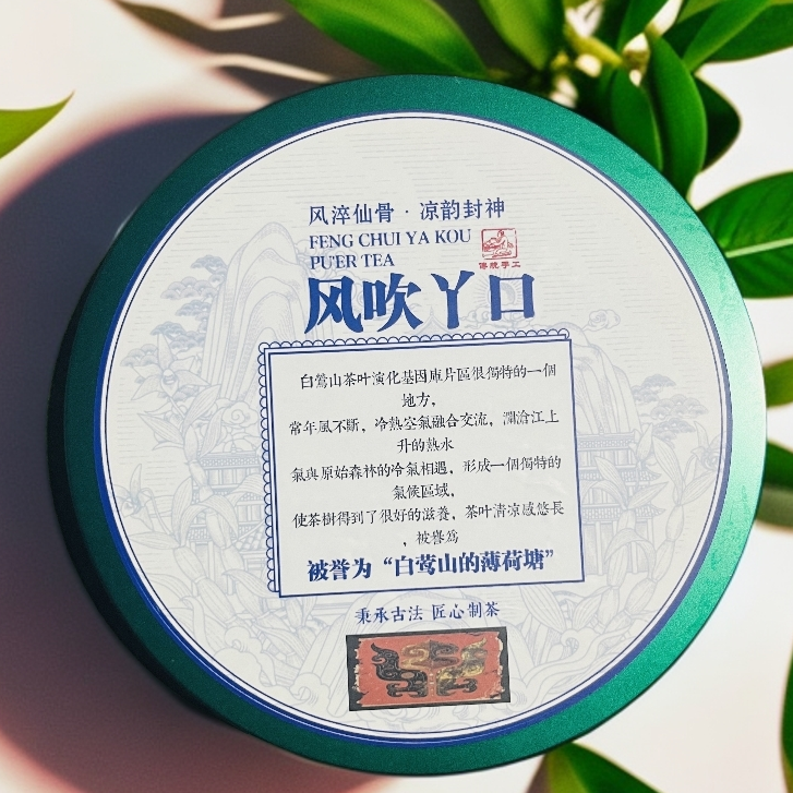 【茶姐严选】白莺山 风吹丫口 普洱生茶 400g