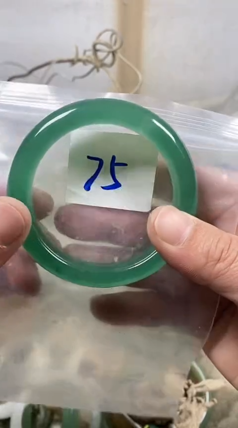 【闪购商品】石英质玉手镯未镶嵌58+有水线