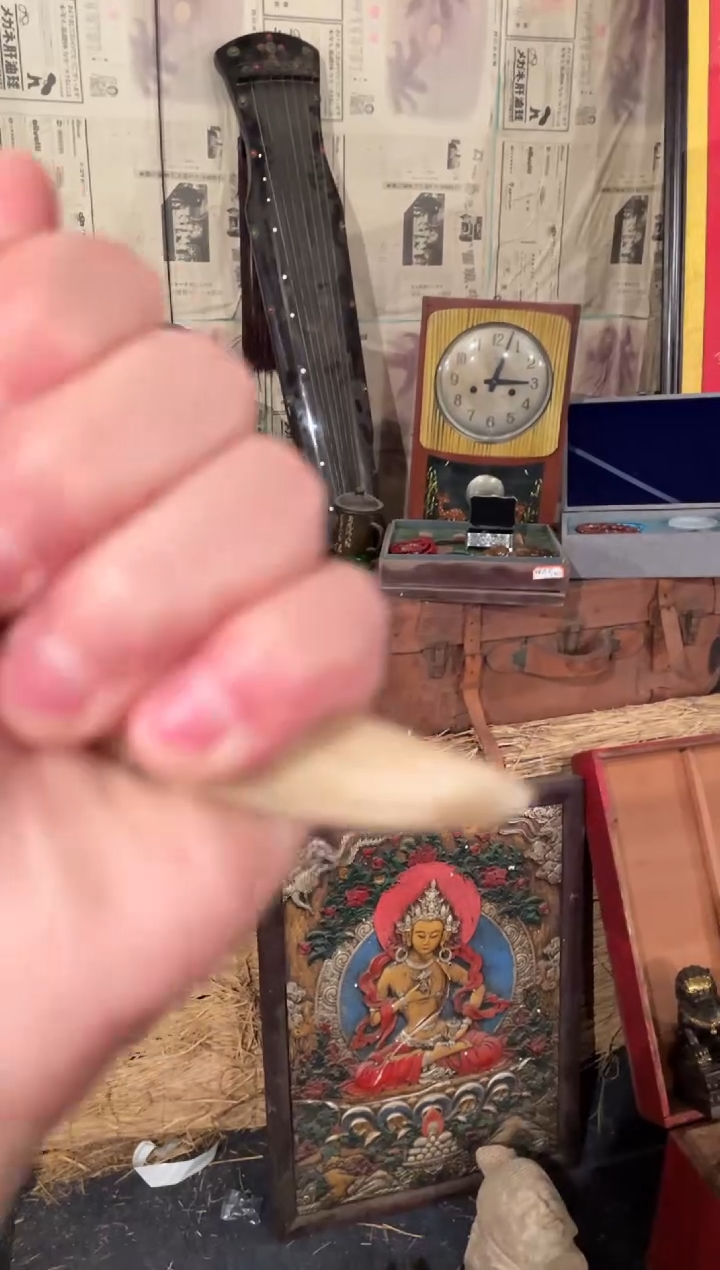 【闪购商品】一一一一一一大脑