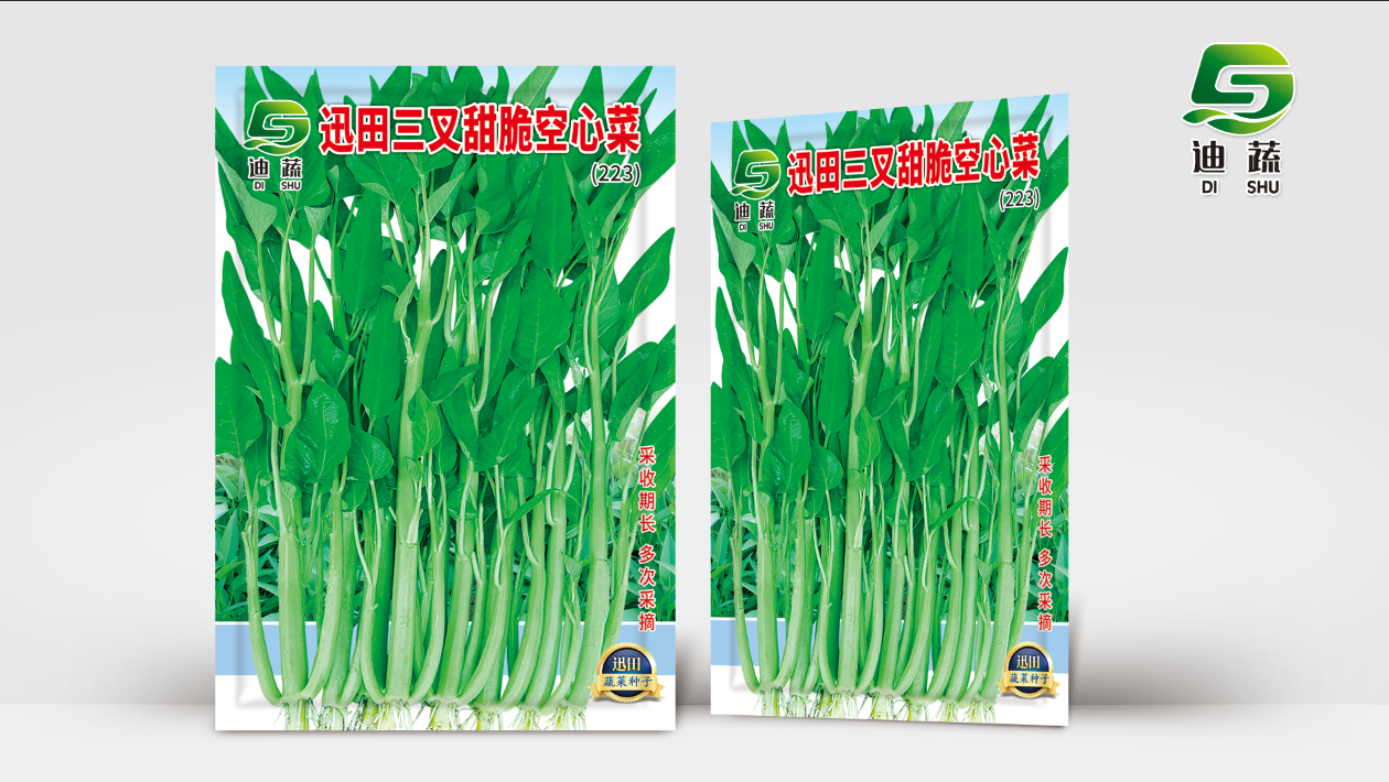 大叶三叉高产空心菜种子春秋四季可播适合阳台盆栽菜园