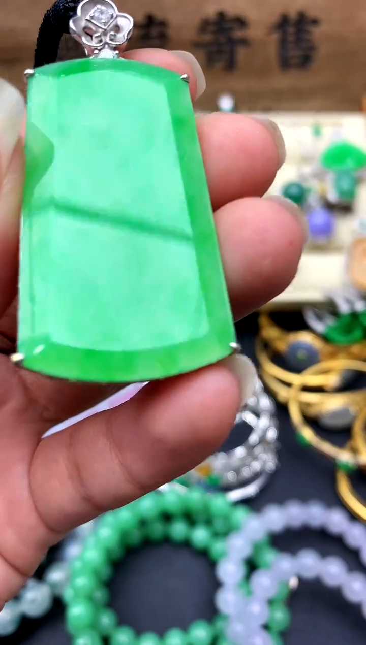 【闪购商品】翡翠颈饰18K金镶嵌572-中国好珍宝