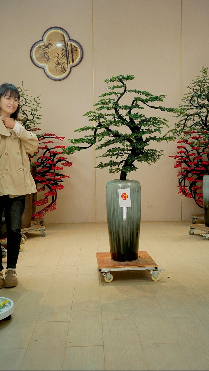 以实际为准风*【广东小叶紫檀】落地高端盆景绿植四季常青常绿