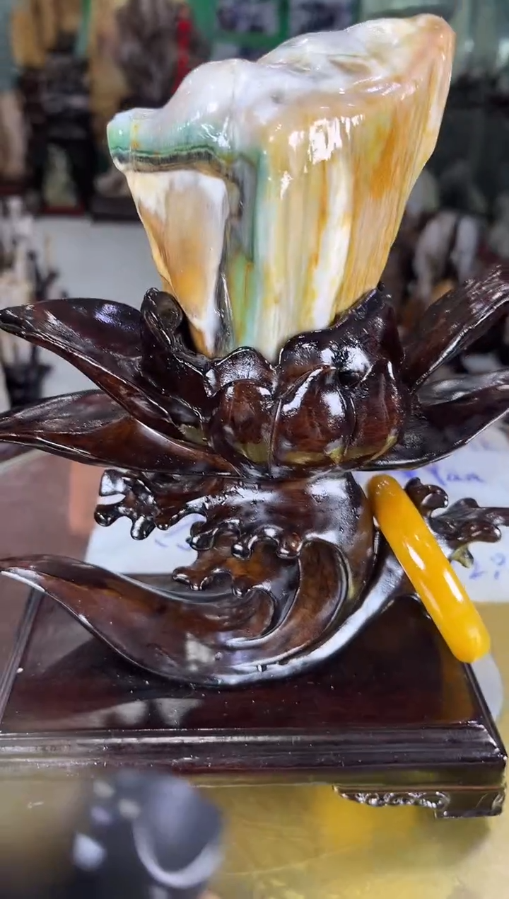 未镶嵌珠宝奇石硅化玉缅甸天然树化玉精品居家摆件