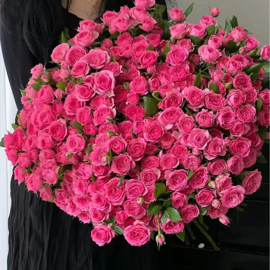 【锦上花舍】多头玫瑰苏菲宝贝一单顺丰冷链/偏远地区德邦空运