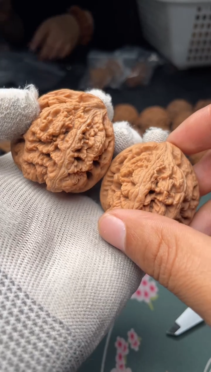 核桃a242   粗筋 43尺