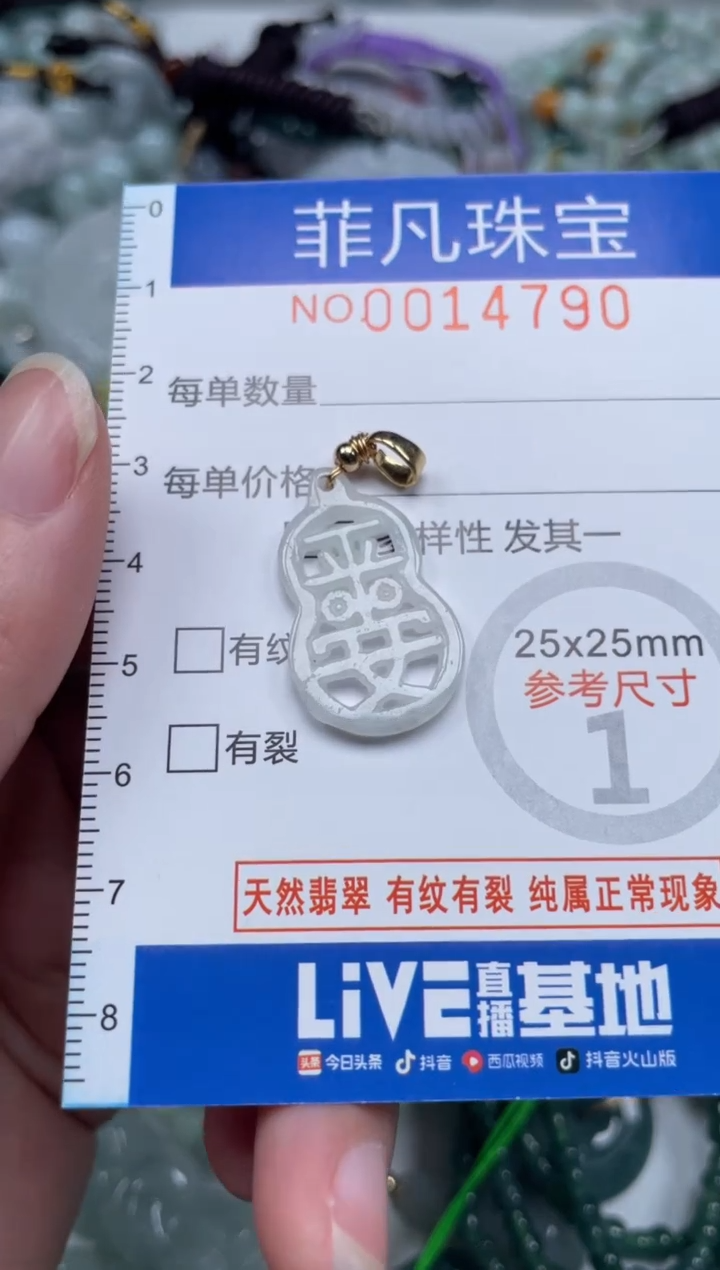 颈饰未镶嵌翡翠14790