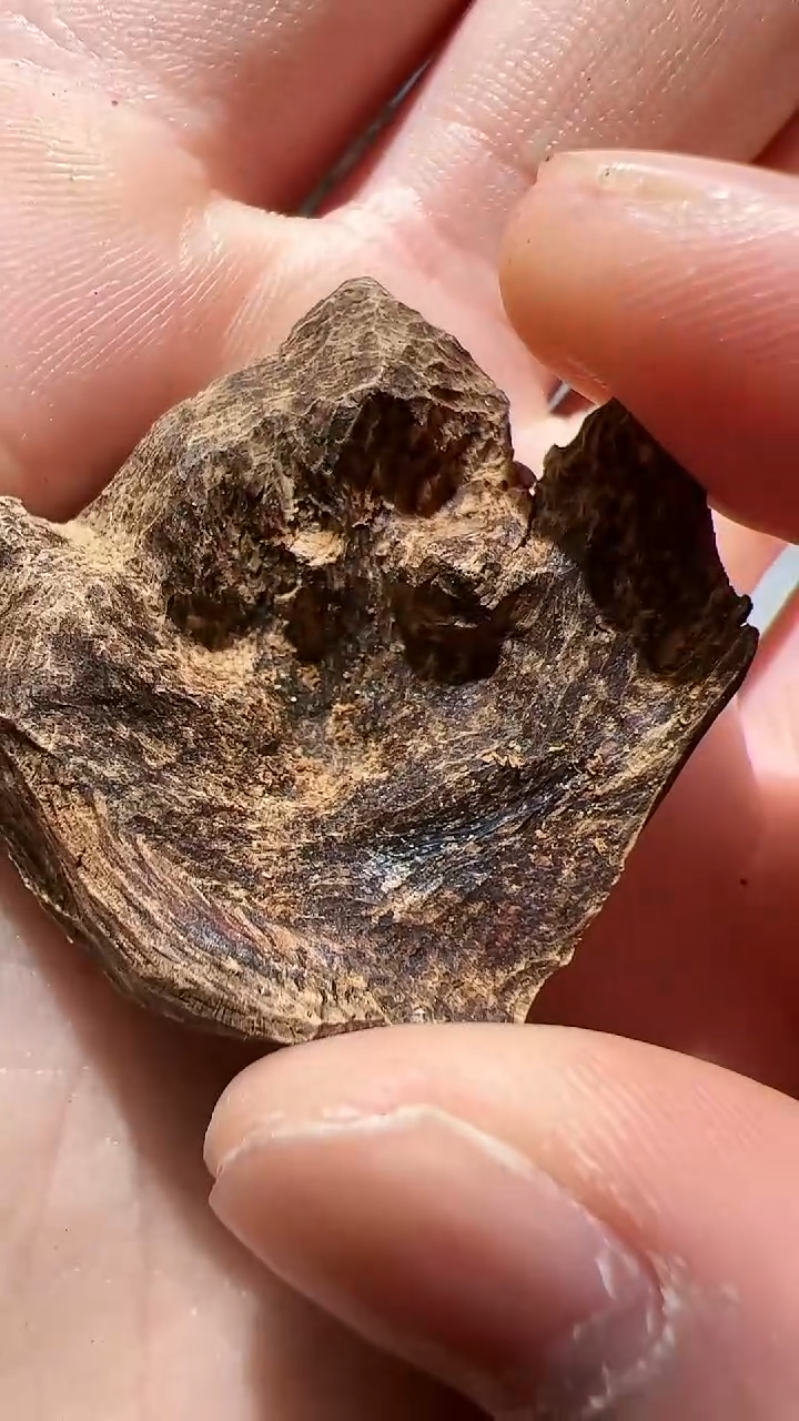 【闪购商品】沉香手把件海南尖峰岭品香料2.1g