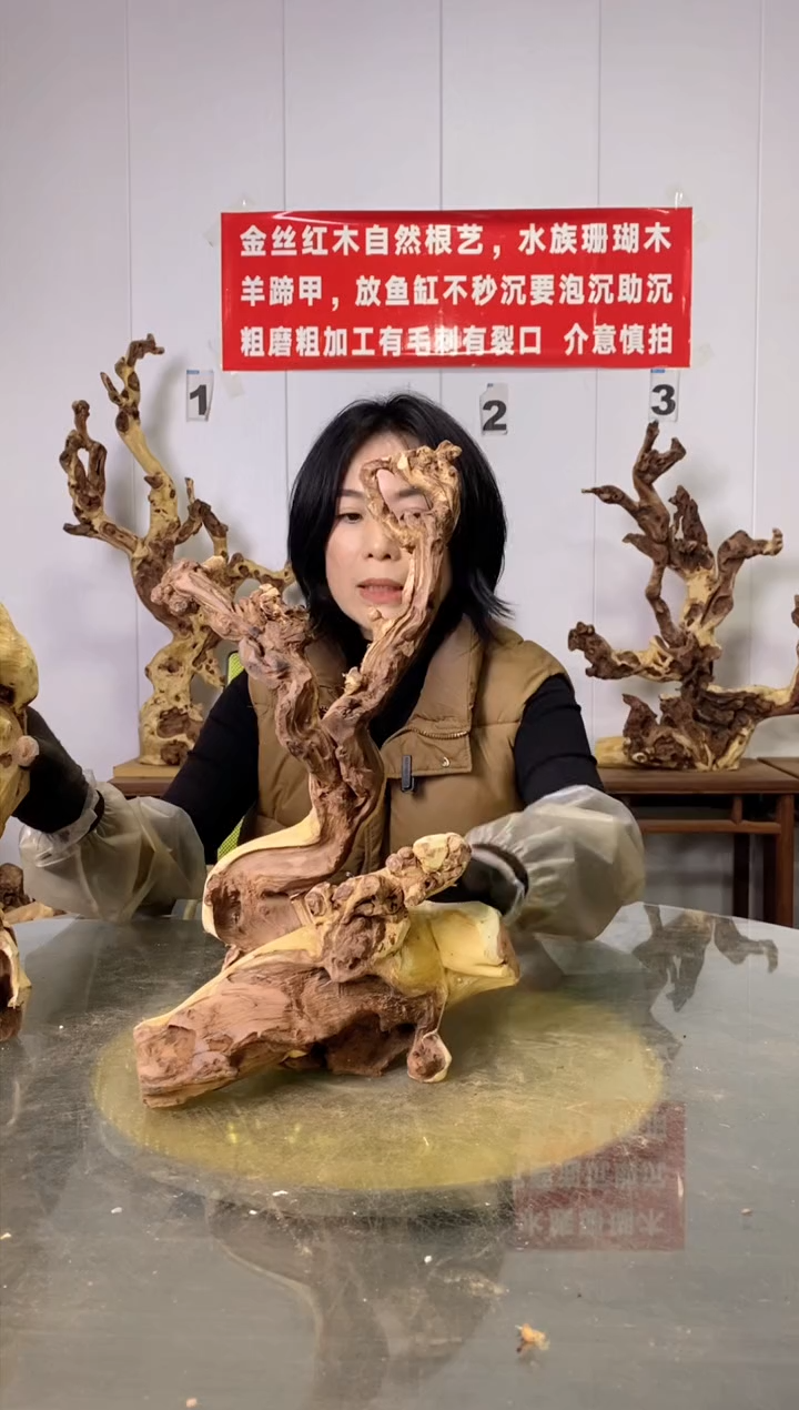 【闪购商品】香榧木金丝红木 羊蹄甲 