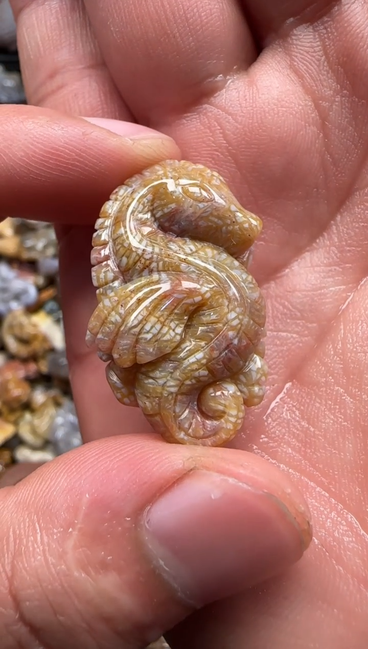 【闪购商品】硅化珊瑚（珊瑚玉）颈饰未镶嵌564