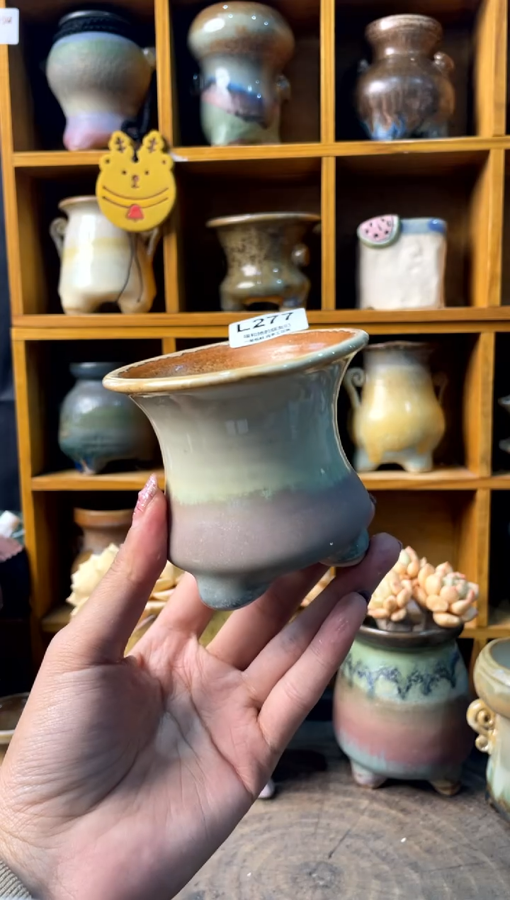 277内口8【多肉花盆多肉盆】