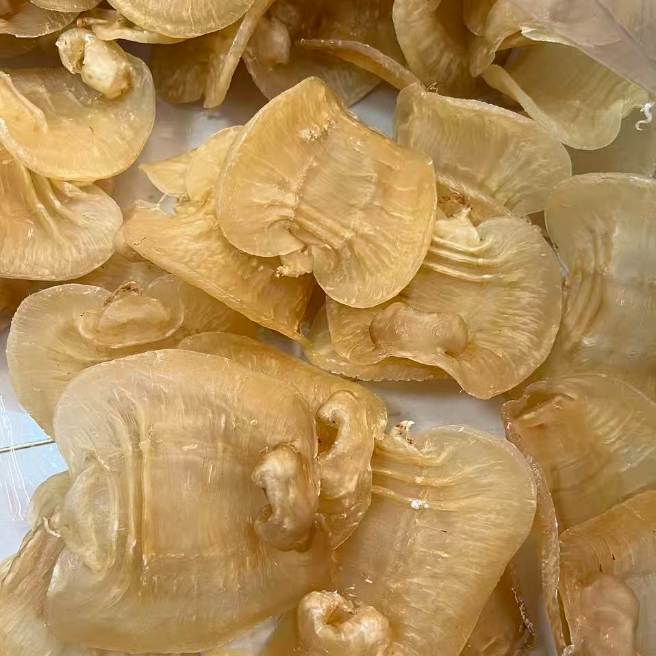 培辉堂9头 印尼赤嘴公 花胶