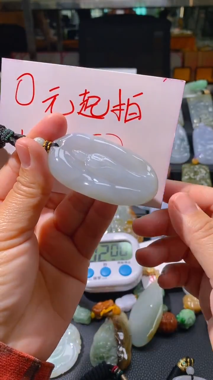 【闪购商品】翡翠颈饰未镶嵌挂件