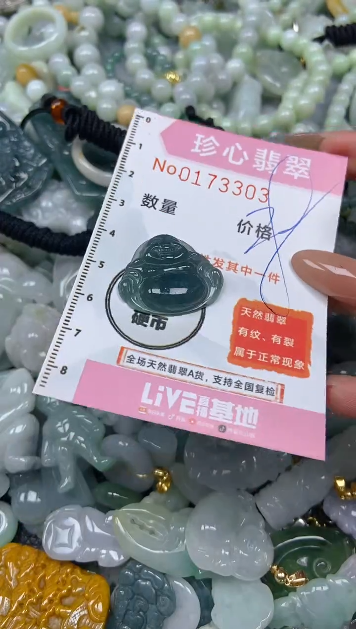 【闪购商品】翡翠颈饰未镶嵌闪购0173303