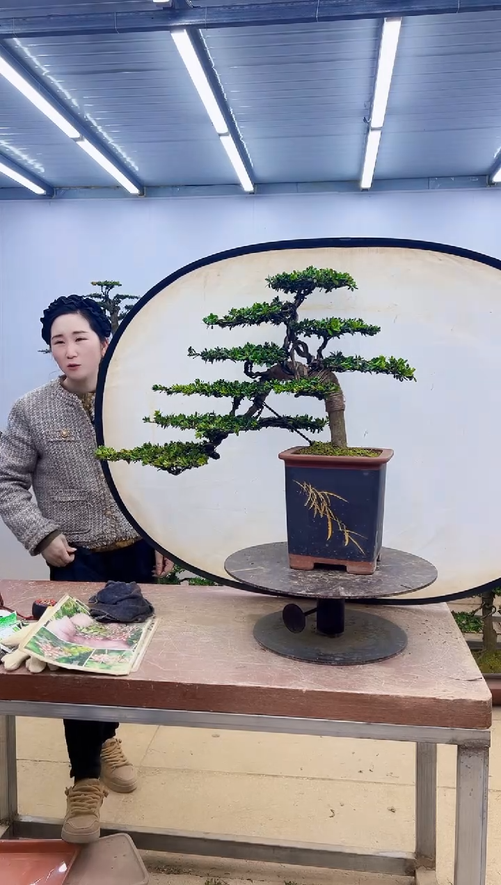 无花朵一物一拍，所见即所得