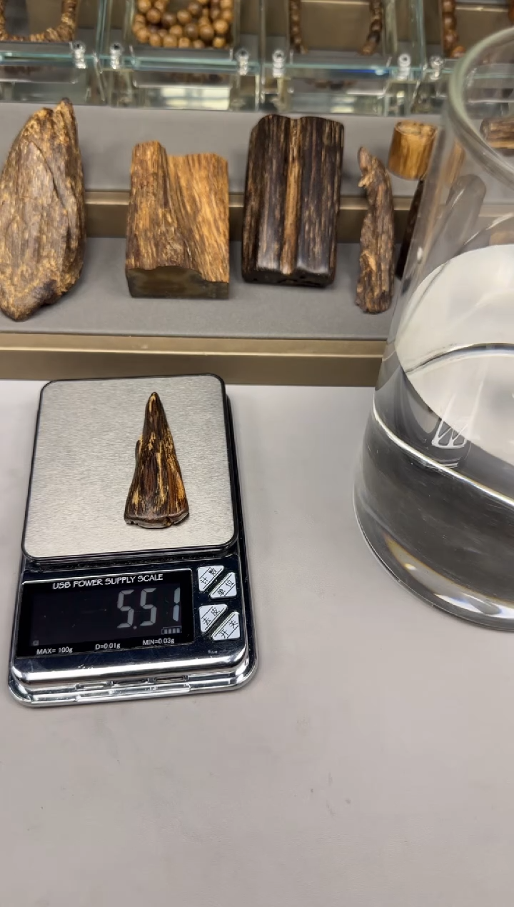 【闪购商品】文莱文莱文莱文莱