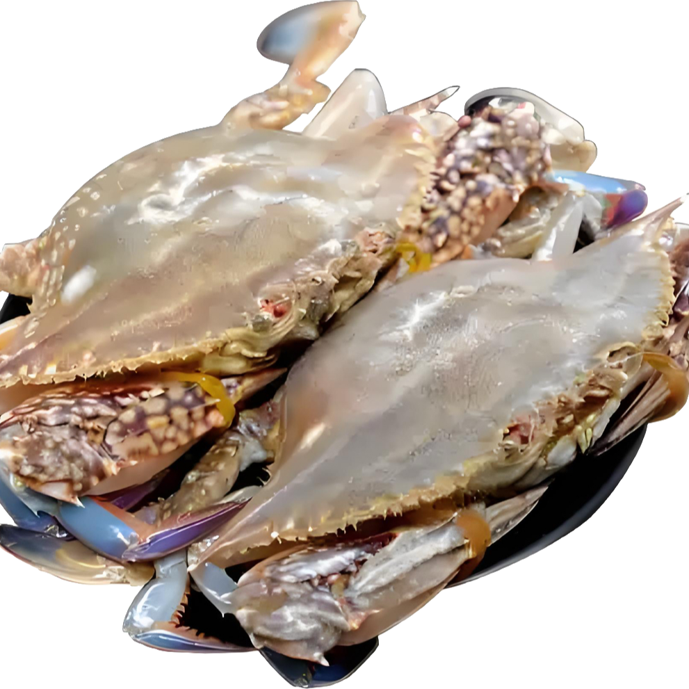 【保鲜不保活】大连母梭子蟹3斤起3-4两/只满肉带黄8-10只海鲜