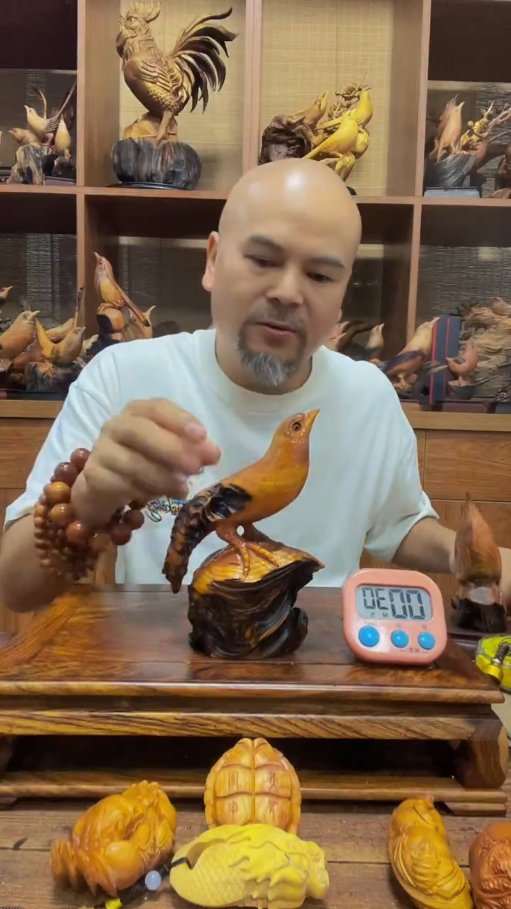 松木扬**航 定向 扬帆起航