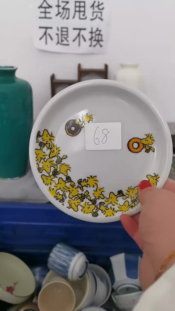 【闪购商品】碟68东北大姨瓷器直播间