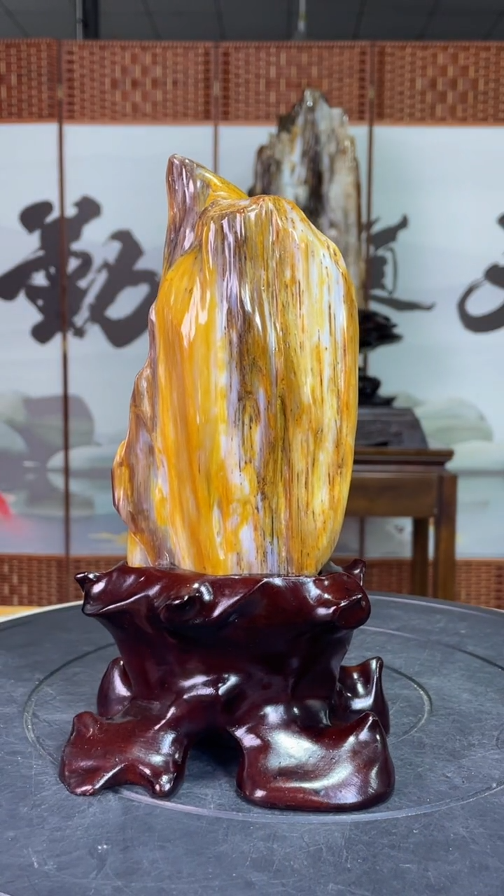 合金珠宝奇石硅化玉高23