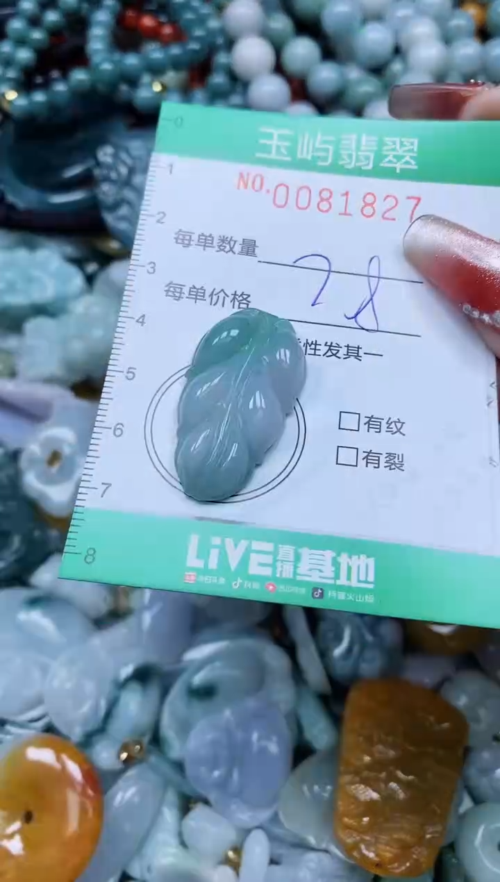 【闪购商品】翡翠颈饰未镶嵌闪购0081827